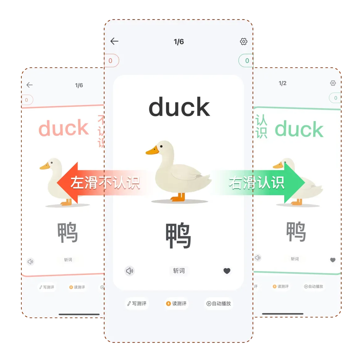 单词鸭·记忆卡