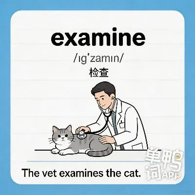 examine
