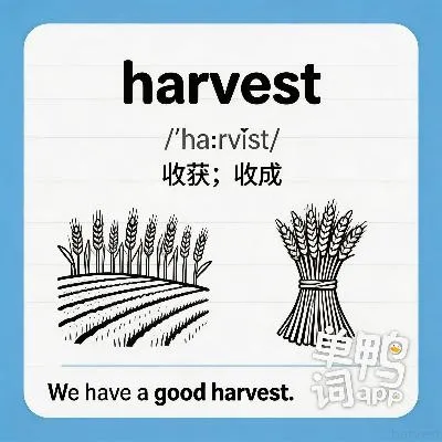 harvest