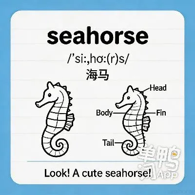 seahorse