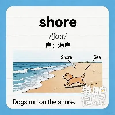 shore