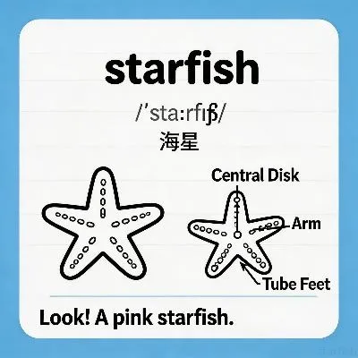 starfish